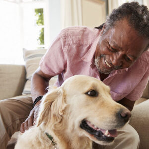 volunteer petting a dog